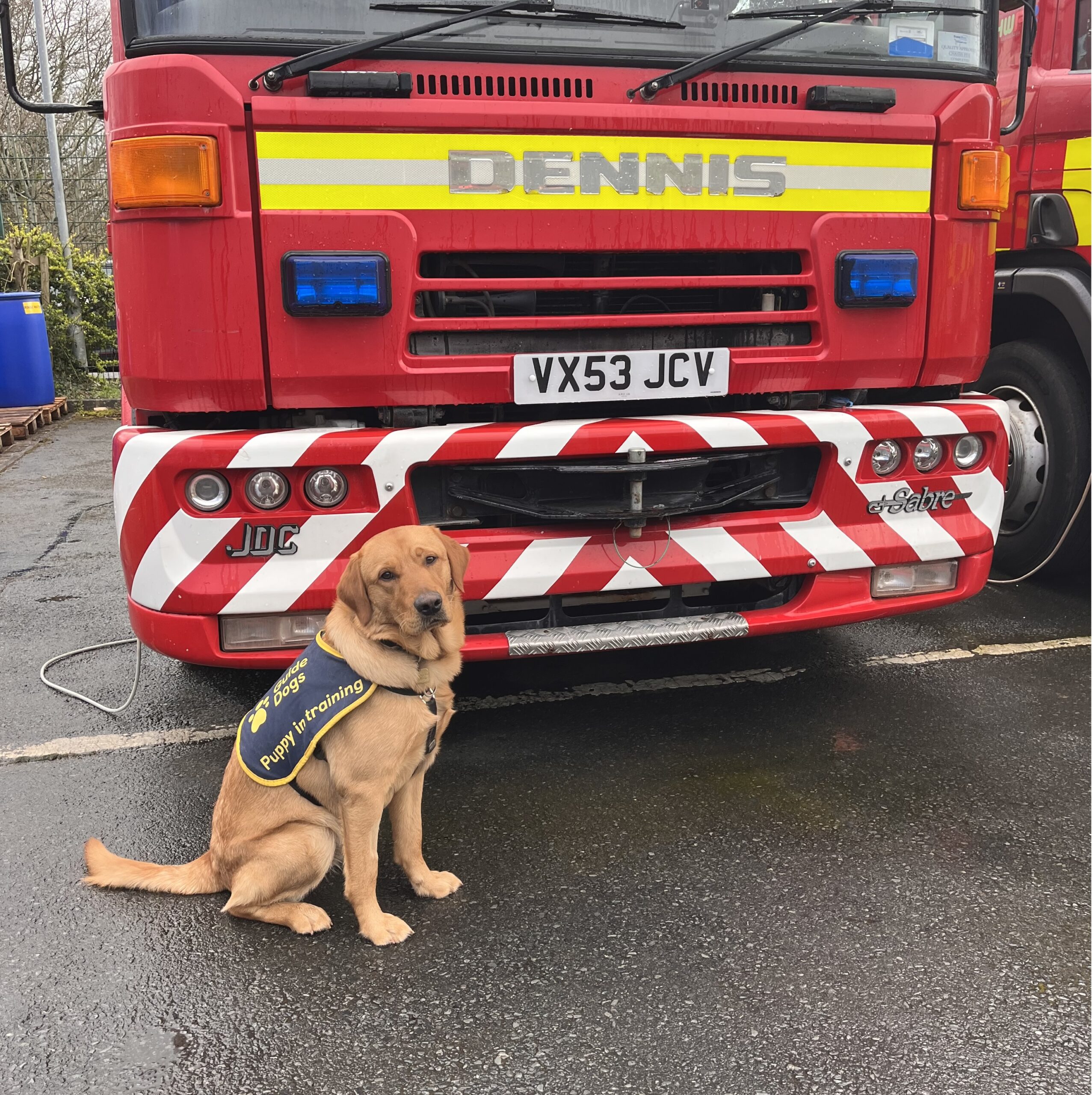 Dennis the Guide Dog puppy with a Dennis fire engine.