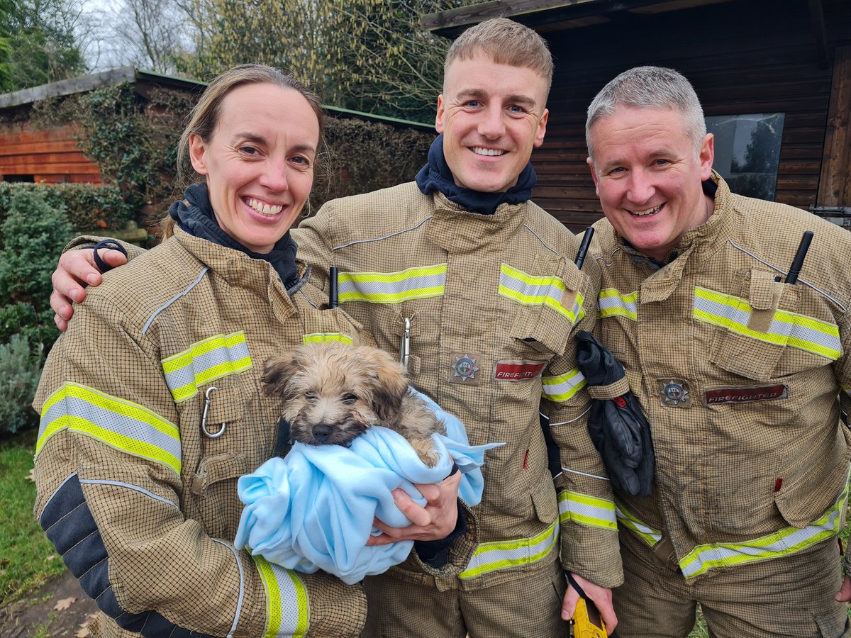 HWFRS firefighters rescue puppy