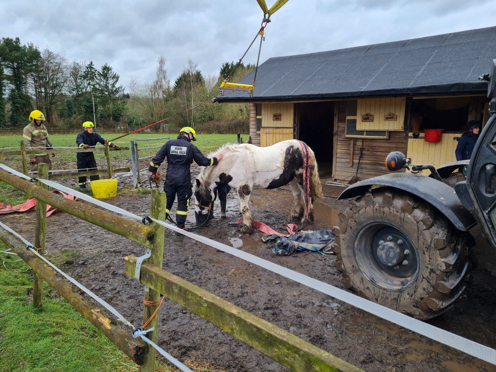 HWFRS crews get George the horse back on his hooves